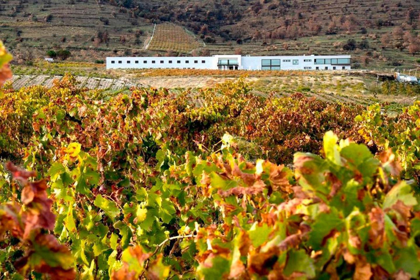 Hotel Tierras De Cebreros Ngoại thất bức ảnh